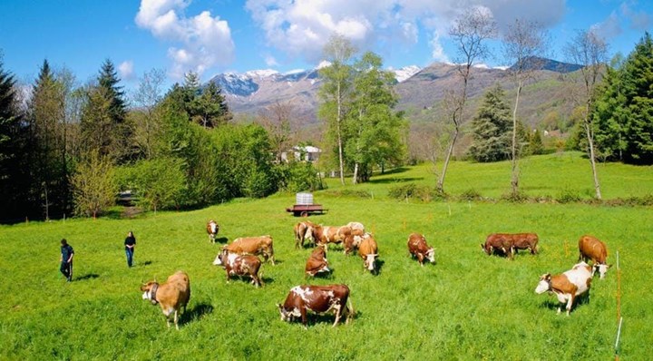 Azienda agricola Paolo Malinverni