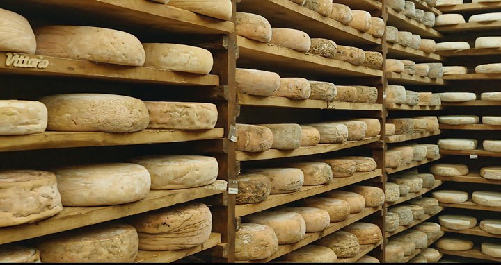 Le Tome della Valchiusella: un racconto di Sapori, Tradizione e Comunità