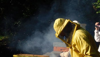 Azienda agricola Bolzanello: sapori autentici e tradizioni