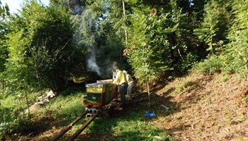 Azienda agricola Bolzanello: sapori autentici e tradizioni