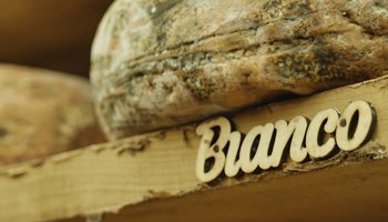 Le Tome della Valchiusella: un racconto di Sapori, Tradizione e Comunità