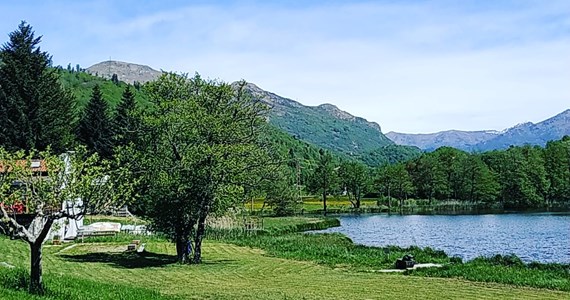 Numeri utili